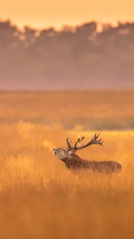Ganz sch&ouml;n frostig