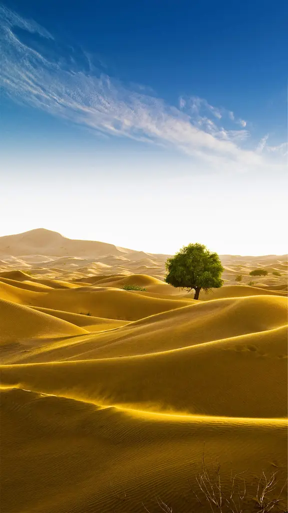 位于阿曼和迪拜酋长国边界的鲁卜哈利沙漠