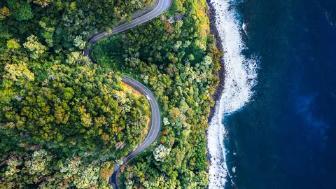 Slow down and enjoy the journey!