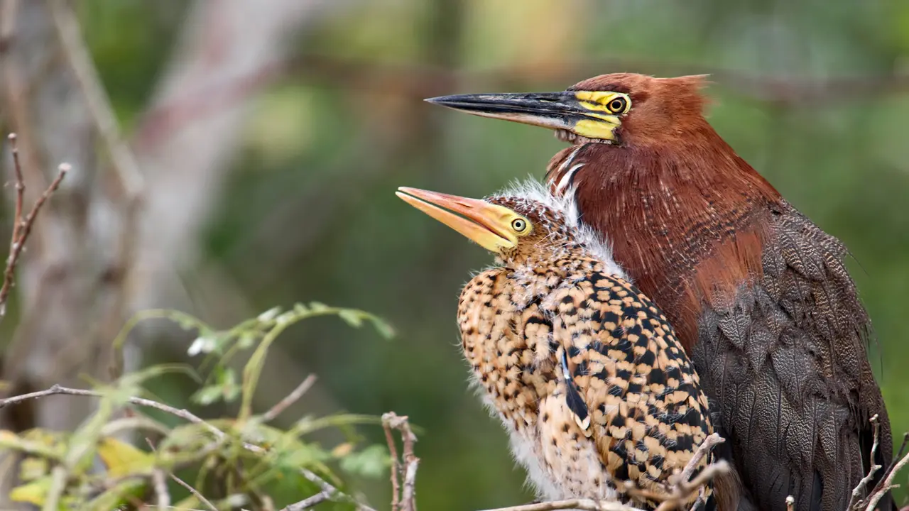 Um momento de pai e filho