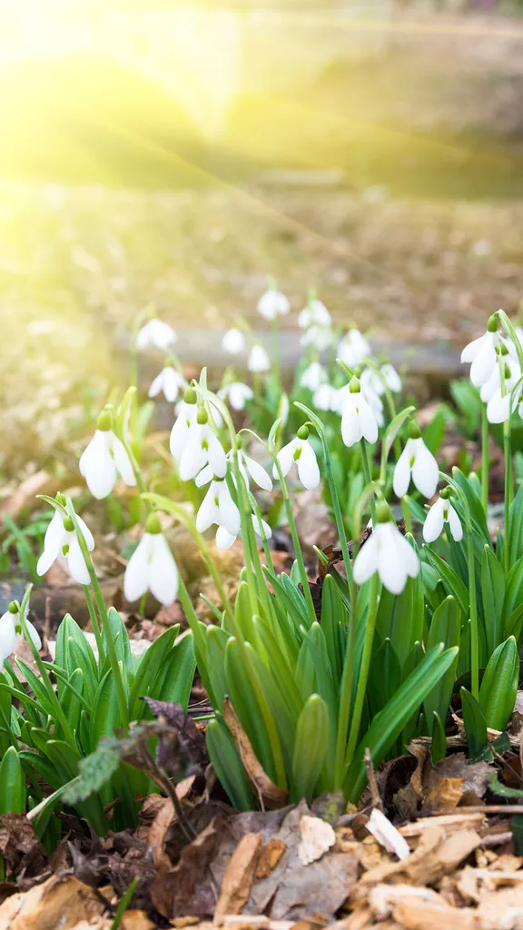 The quiet bloom of change