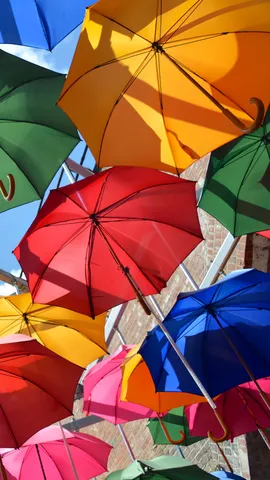 Under my umbrella