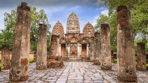 在废墟中寻找美