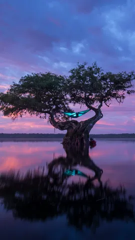 En suspens au-dessus de l&rsquo;eau
