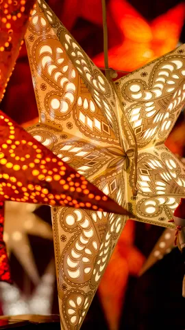 Twinkle, twinkle, paper stars