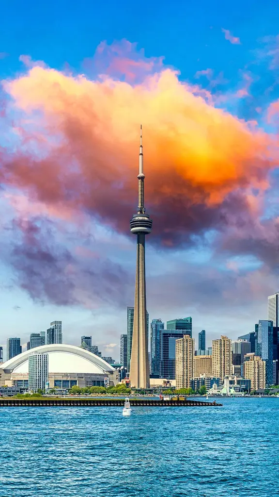 Lights, camera, TIFF '24!