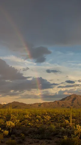 Los inesperados colores del cielo