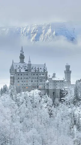 巴伐利亚的瑰宝