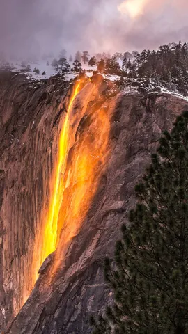 Uma contradi&ccedil;&atilde;o natural