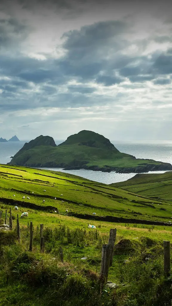 Let's wear green today!