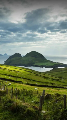 Let's wear green today!