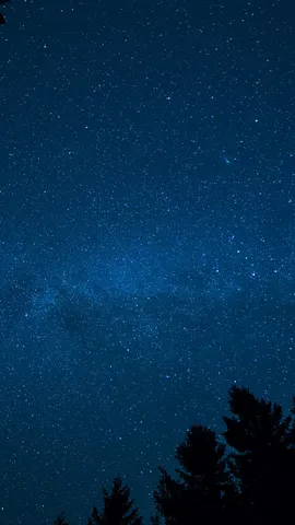 Chi vedr&agrave; pi&ugrave; stelle cadenti?