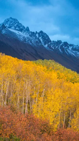Autumn colours below Mount Sneffels near Ridgway, Colorado, United States