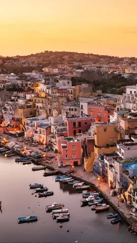 充满活力、阳光普照的岛屿