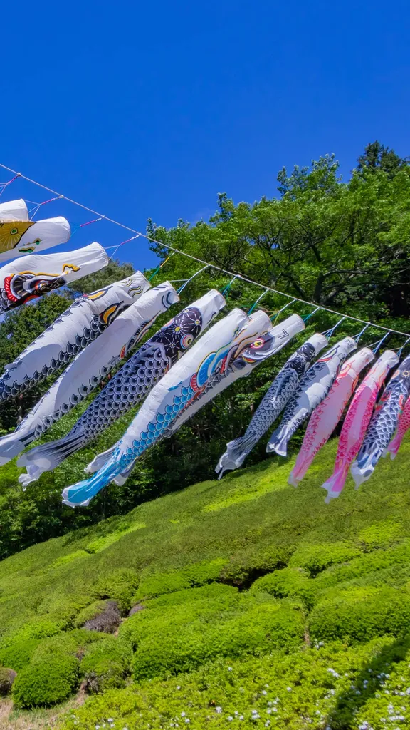 今日はこどもの日