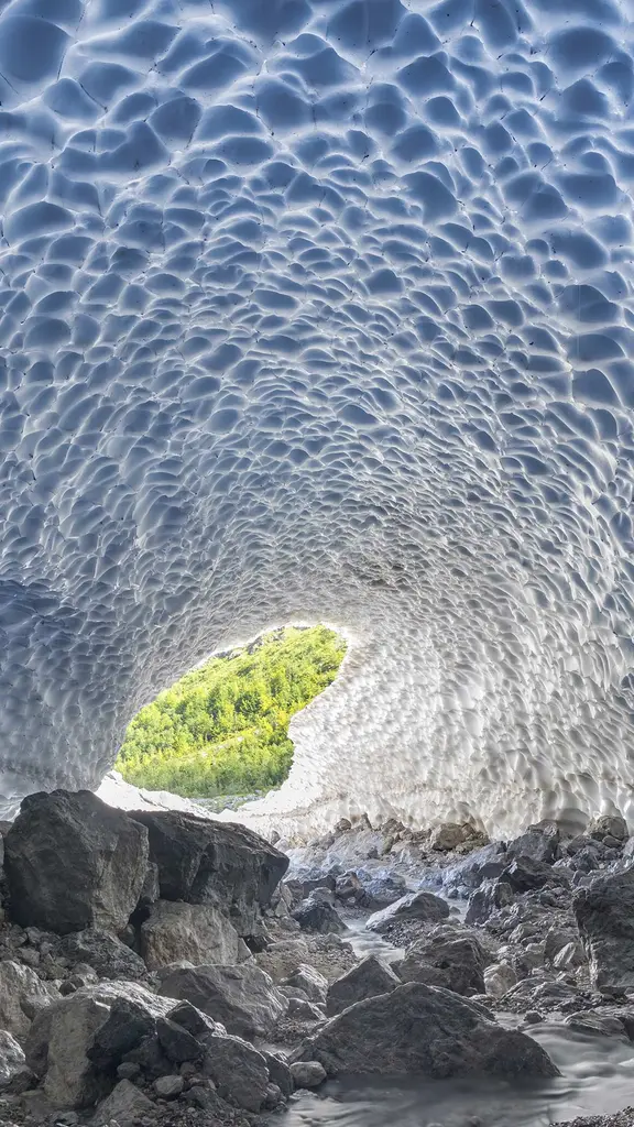 Terrestre ou extraterrestre?