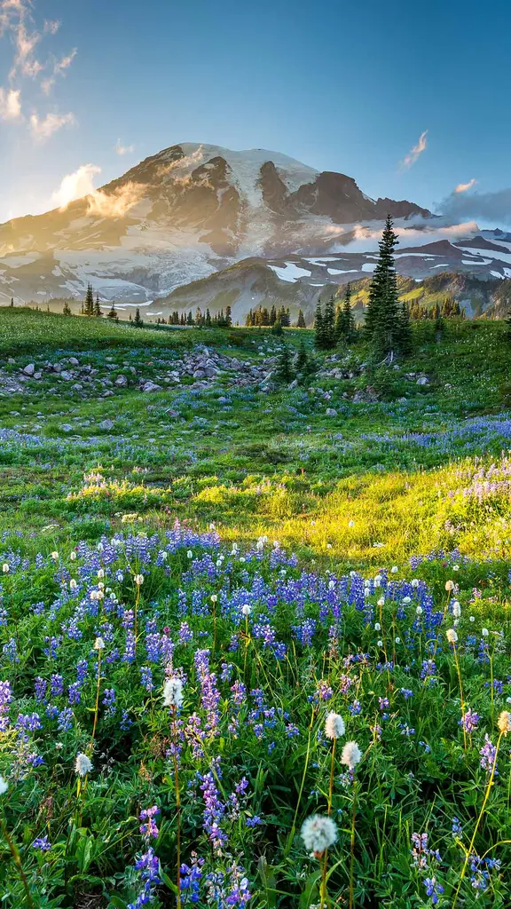 Come Rainier or shine