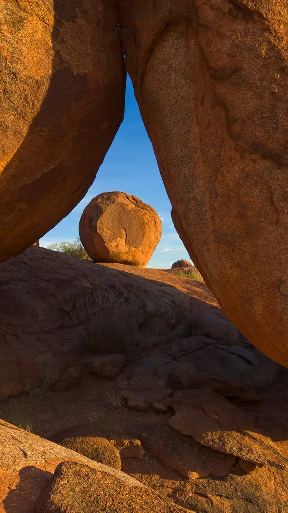 Nature's balancing act