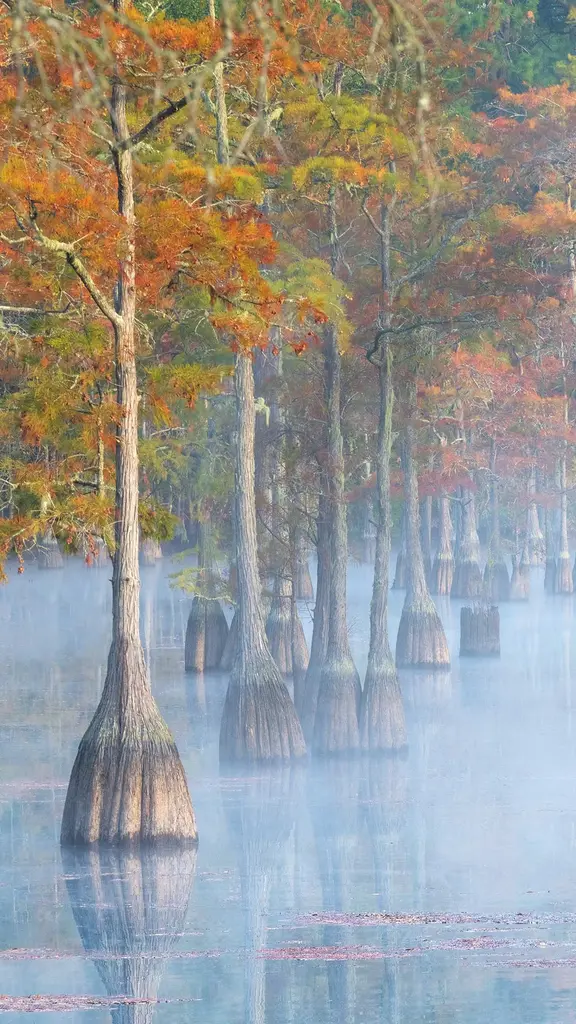 Majest&eacute; d'automne