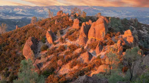 Born from fire, built to last