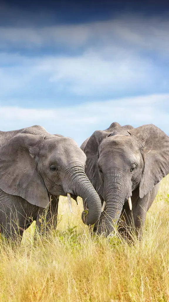 今日は米国の「絶滅危惧種の日」