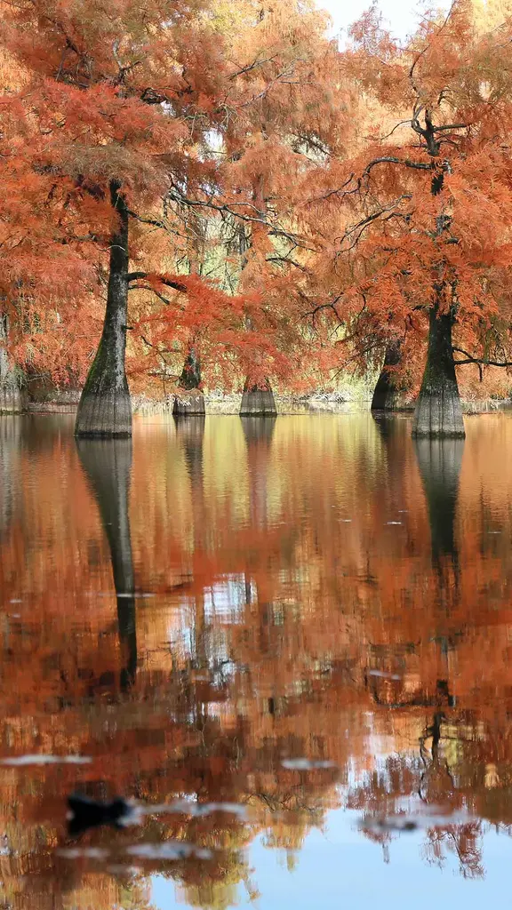 Reflets d&rsquo;automne