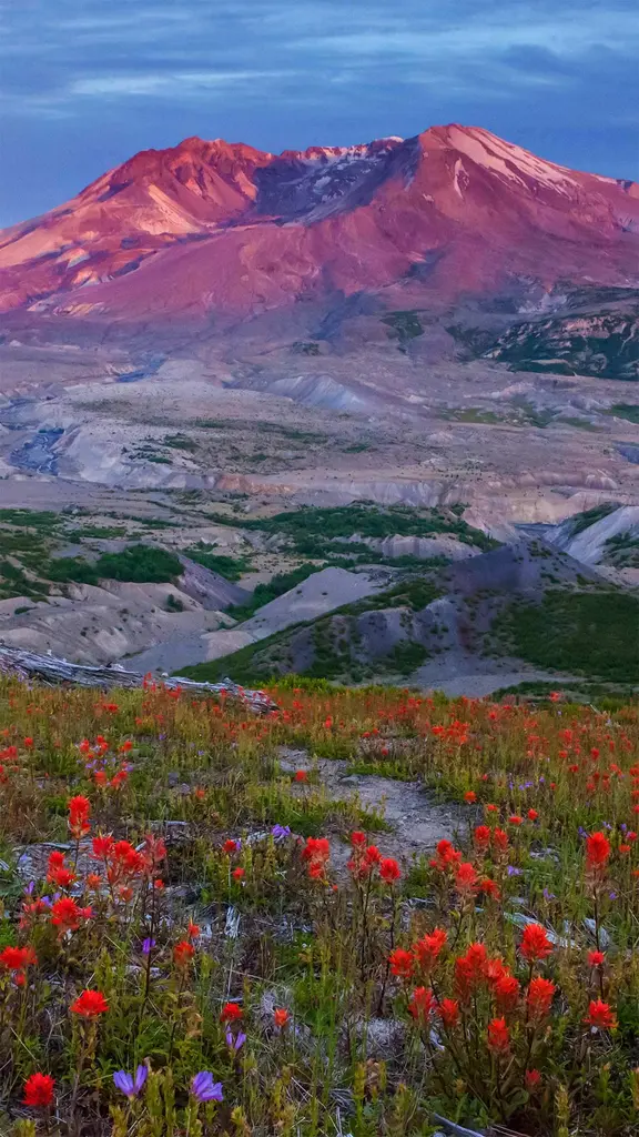 40年的休养生息