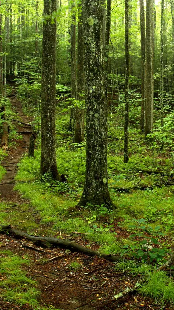 Mittendrin statt nur dabei