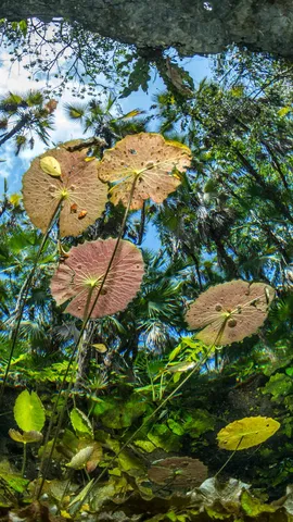 Gocce di luce nel ventre della Terra