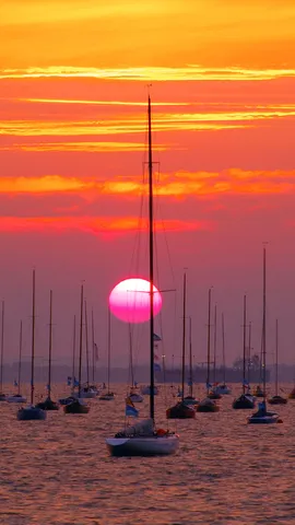 A sail-ebration
