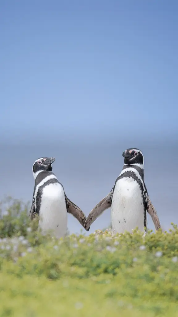 今日はバレンタインデー