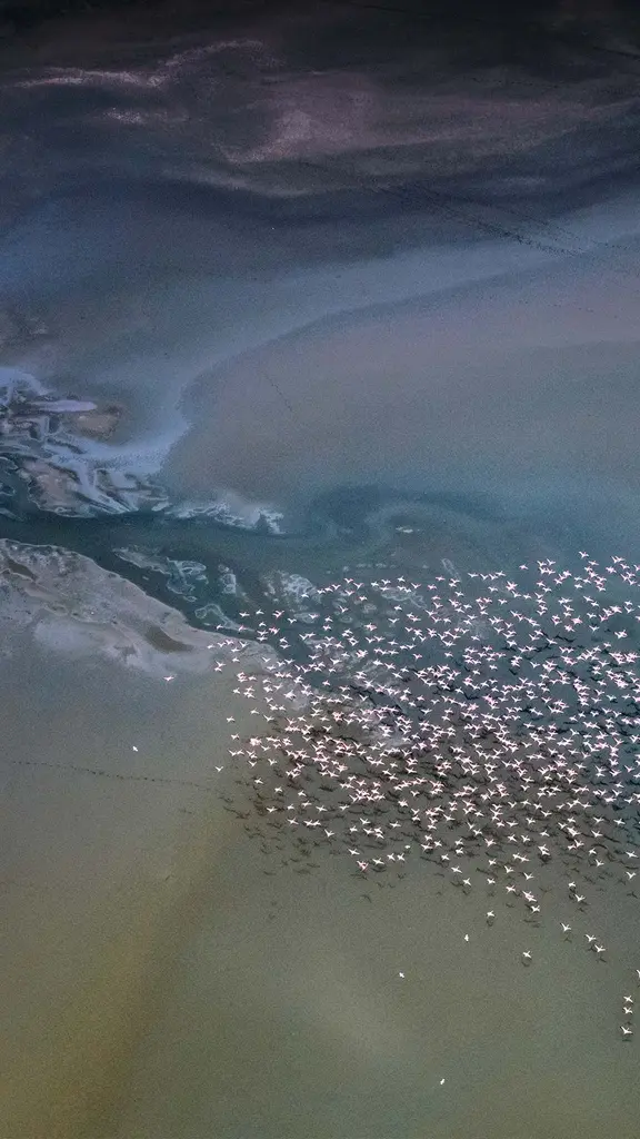 Le monde vu &agrave; vol d&rsquo;oiseau