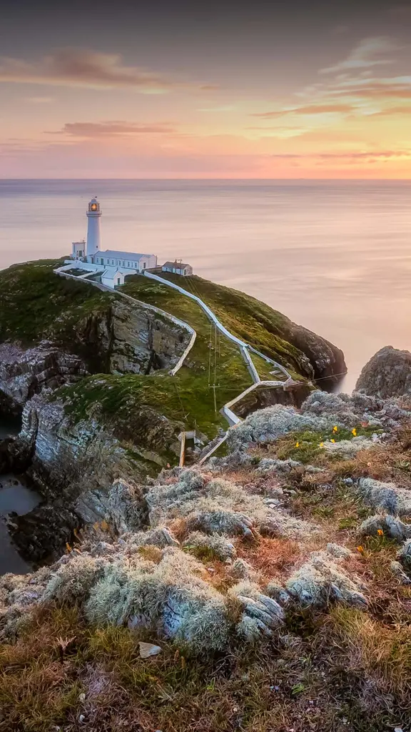 High tides and bright lights