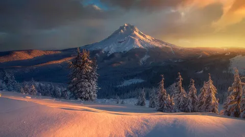 A sleeping giant