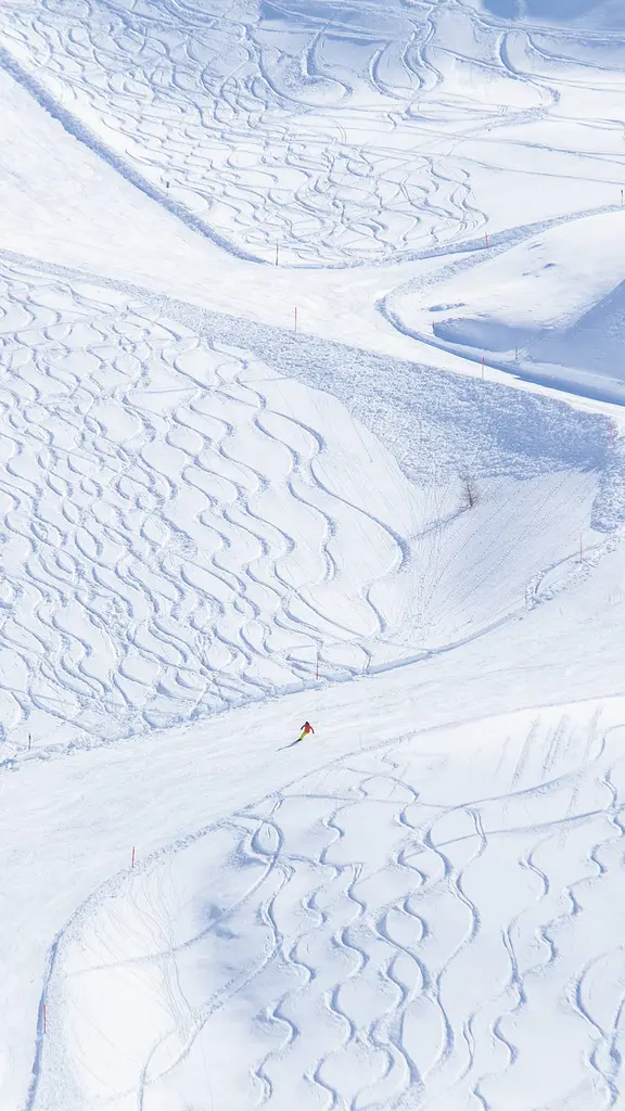 Alpine twists and turns