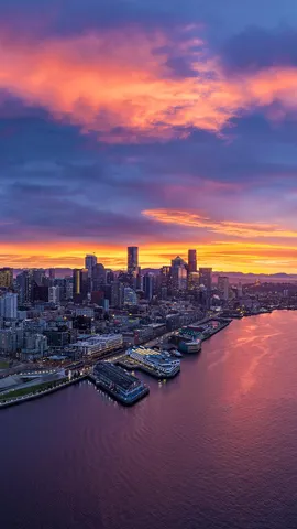 夕焼けに染まる港と街の景色