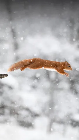 Come mai febbraio &egrave; pi&ugrave; lungo?