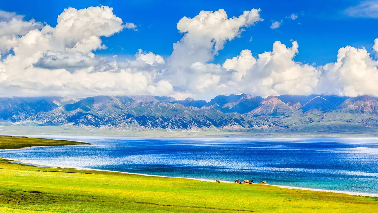 天山上的蓝宝石