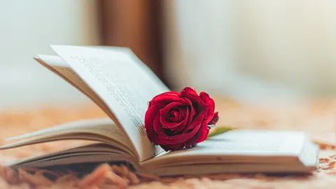 Historias que florecen