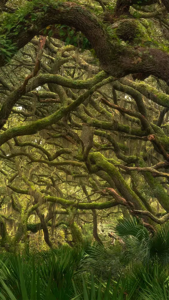 Coastal quiet, untamed life