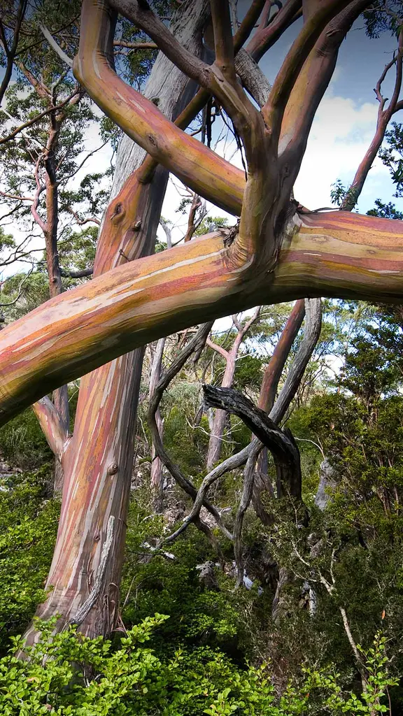 A beacon of biodiversity