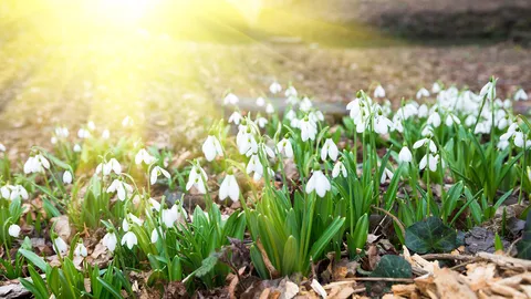 The quiet bloom of change