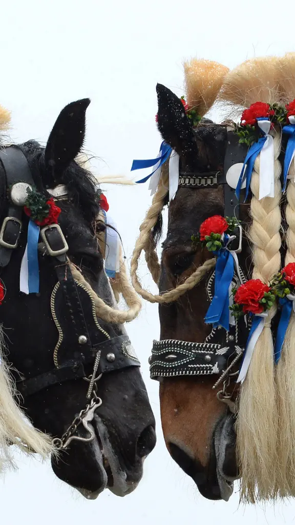 Wird das ein Kopf-an-Kopf-Rennen?