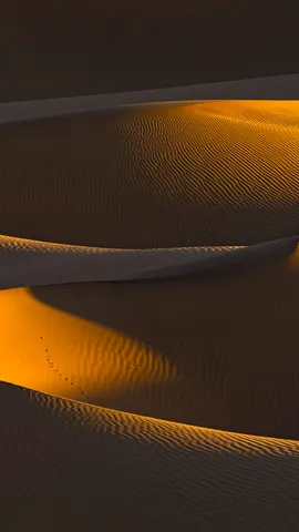 Each day a different dune