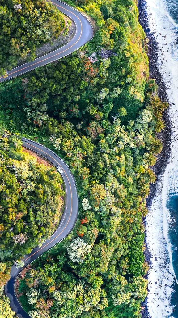 Slow down, enjoy the journey!