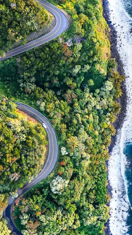 Slow down and enjoy the journey!