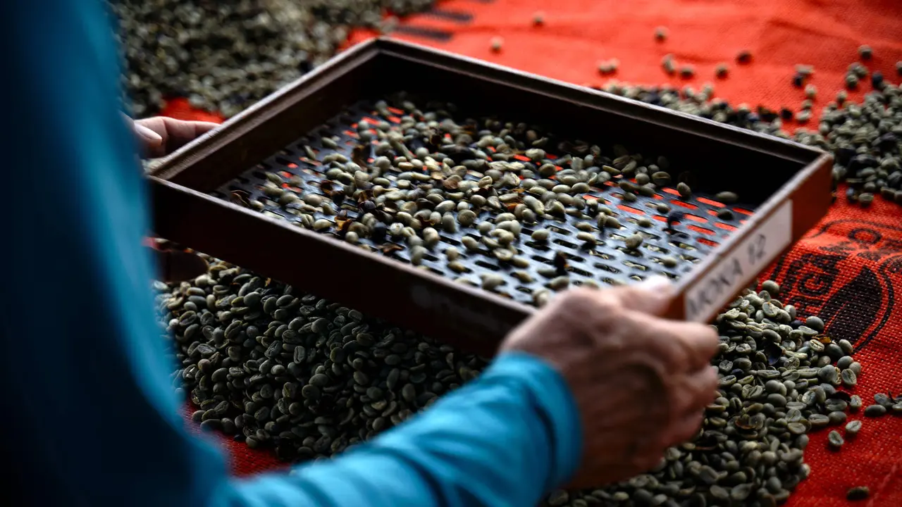 Vai um caf&eacute;zinho?
