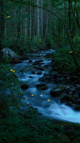 今日はネイチャー・フォトグラフィー・デー