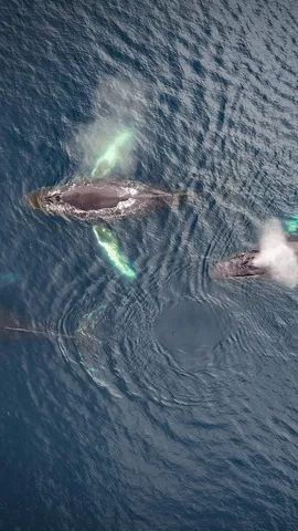 Hoffnungsvolle Wellen