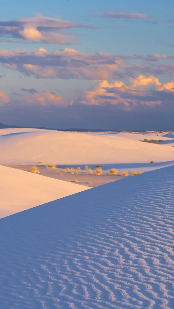 1,001 Mexican dunes